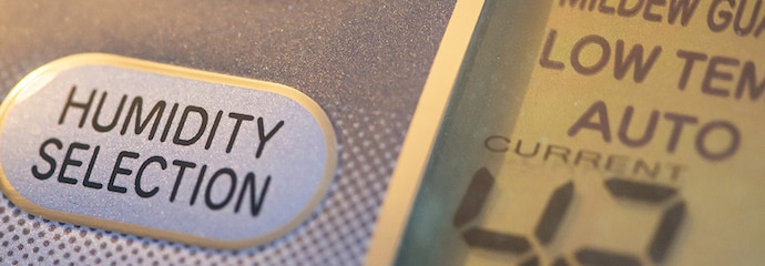 What Does a Dehumidifier Do?