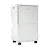 Portable Dehumidifiers