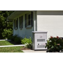 Briggs & Stratton 040685