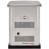 Briggs & Stratton 040689