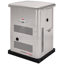 Briggs & Stratton 040689