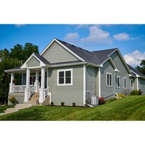 Briggs & Stratton 040689