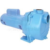 Little Giant LSP-200-C 2 HP Self-Priming Cast Iron Sprinkler Pump