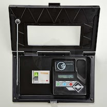 Generac Protector RG04524ANAX