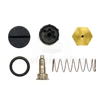 Williams NG to LP Conversion Kit for 55082 Series