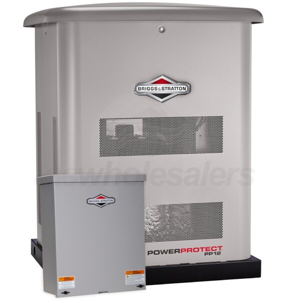 Briggs & Stratton 040689