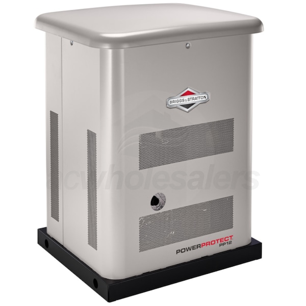 Briggs & Stratton 040689