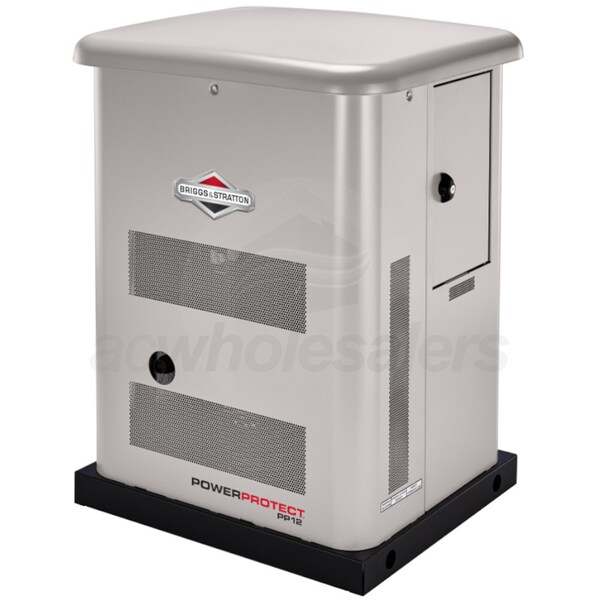 Briggs & Stratton 040689